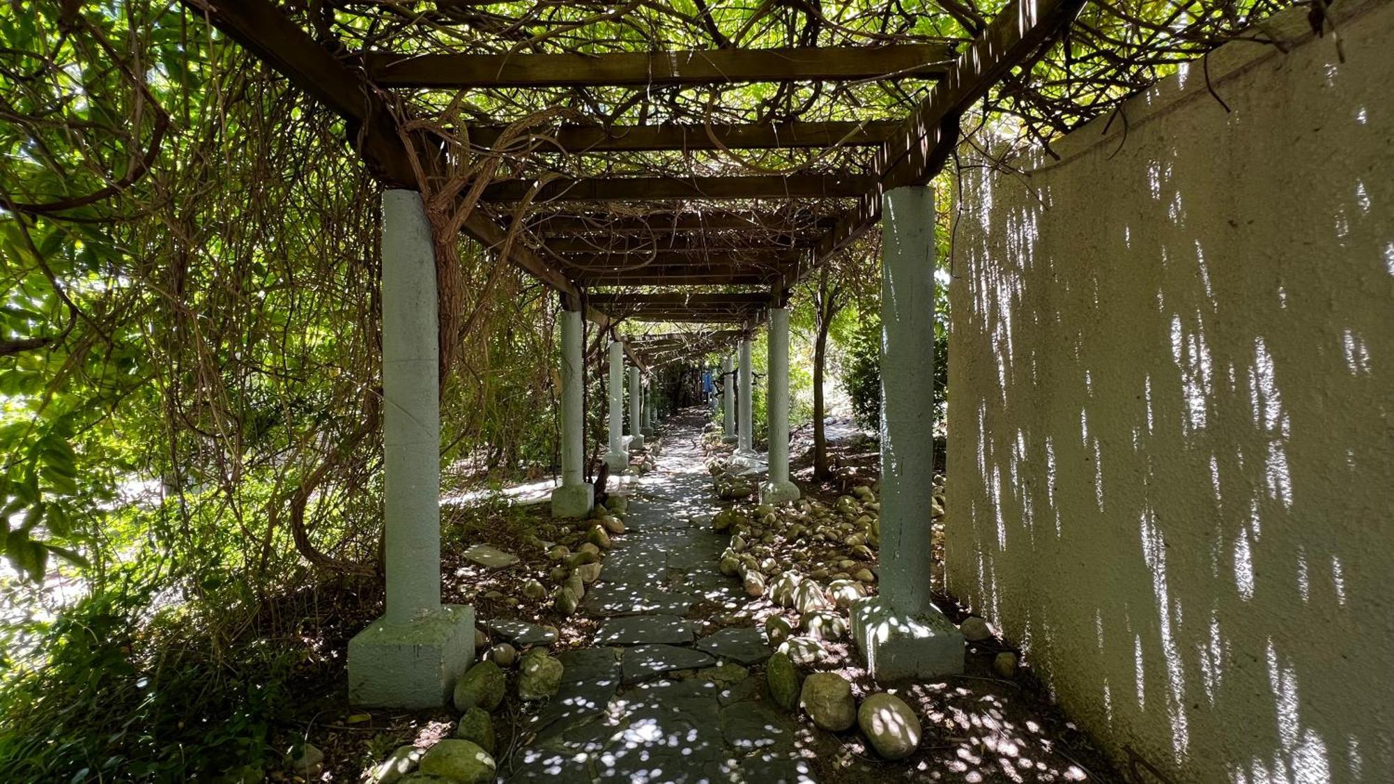 In The Vine Country Manor Guesthouse ステレンボッシュ エクステリア 写真